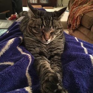 Meet your Posher, Teddi